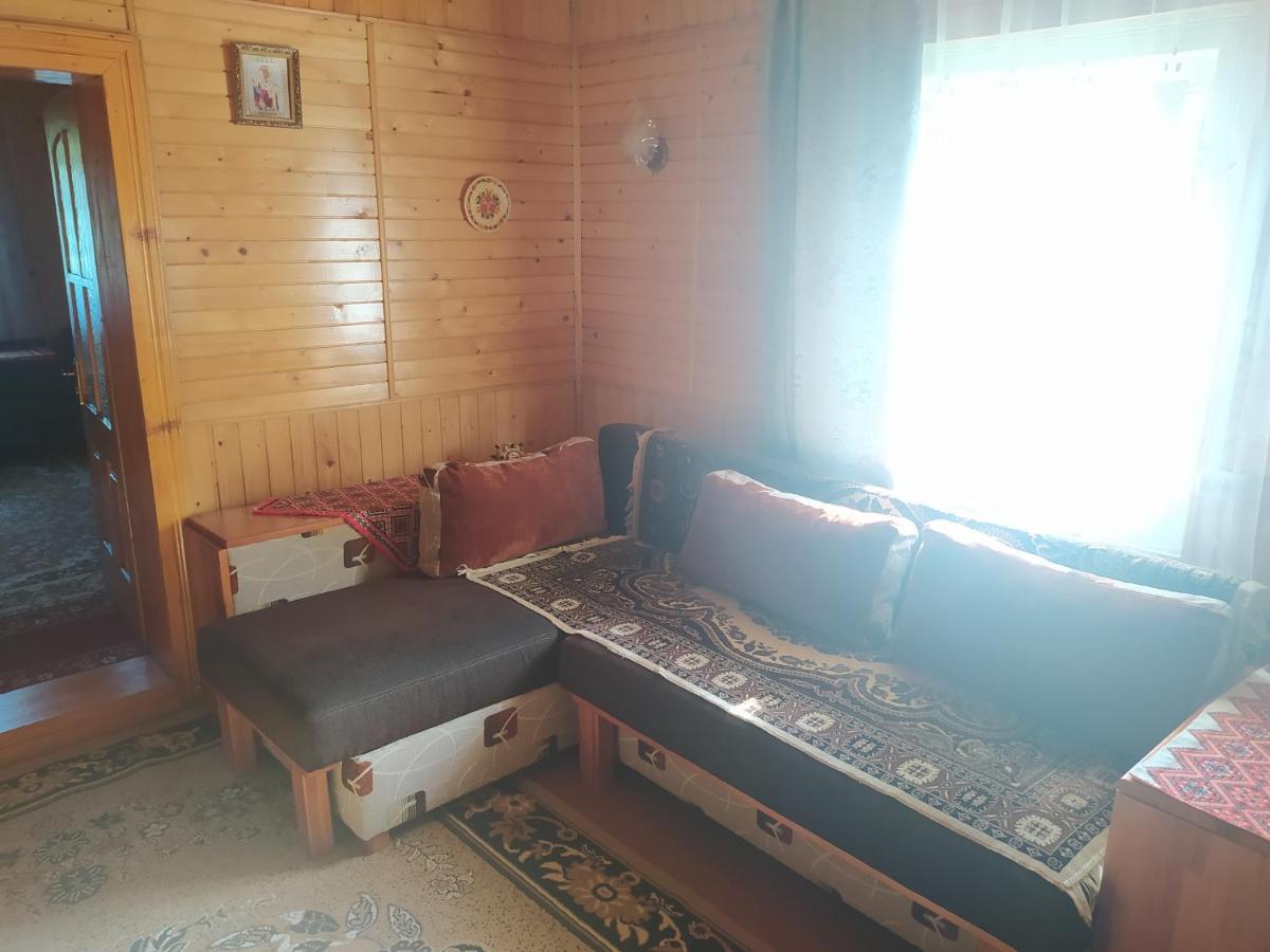 Starovitska Hata - Ethno-Cottage 韦尔霍维纳 外观 照片