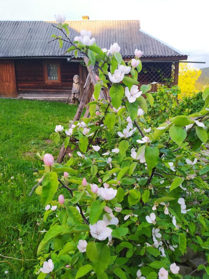 Starovitska Hata - Ethno-Cottage 韦尔霍维纳 外观 照片