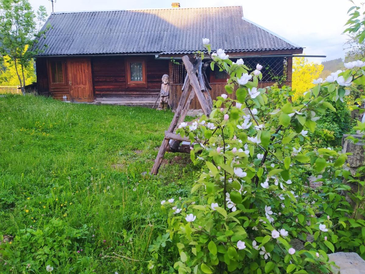 Starovitska Hata - Ethno-Cottage 韦尔霍维纳 外观 照片