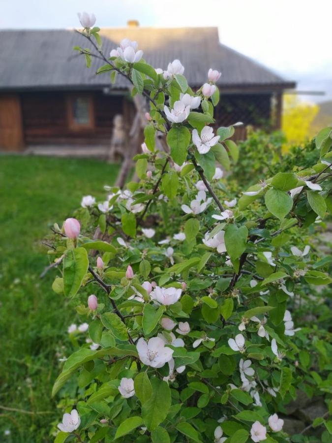 Starovitska Hata - Ethno-Cottage 韦尔霍维纳 外观 照片