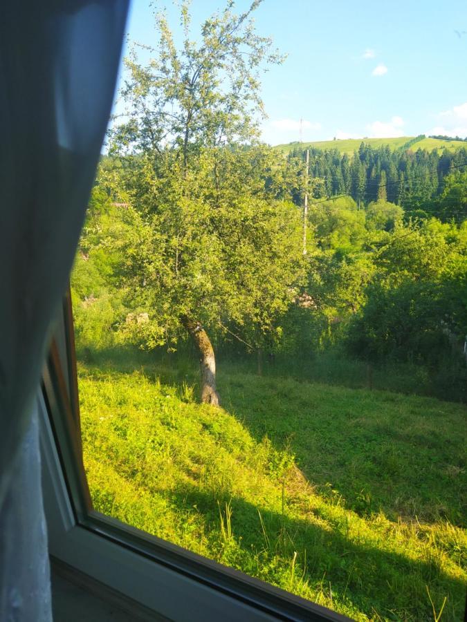 Starovitska Hata - Ethno-Cottage 韦尔霍维纳 外观 照片