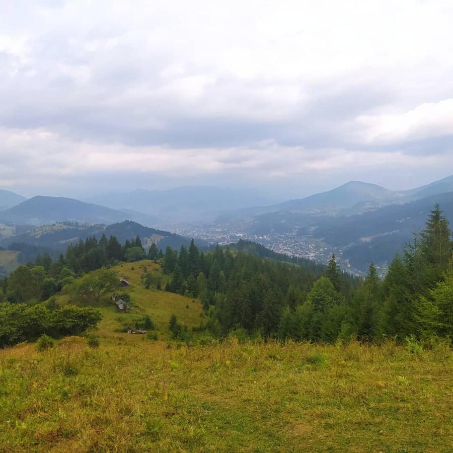 Starovitska Hata - Ethno-Cottage 韦尔霍维纳 外观 照片