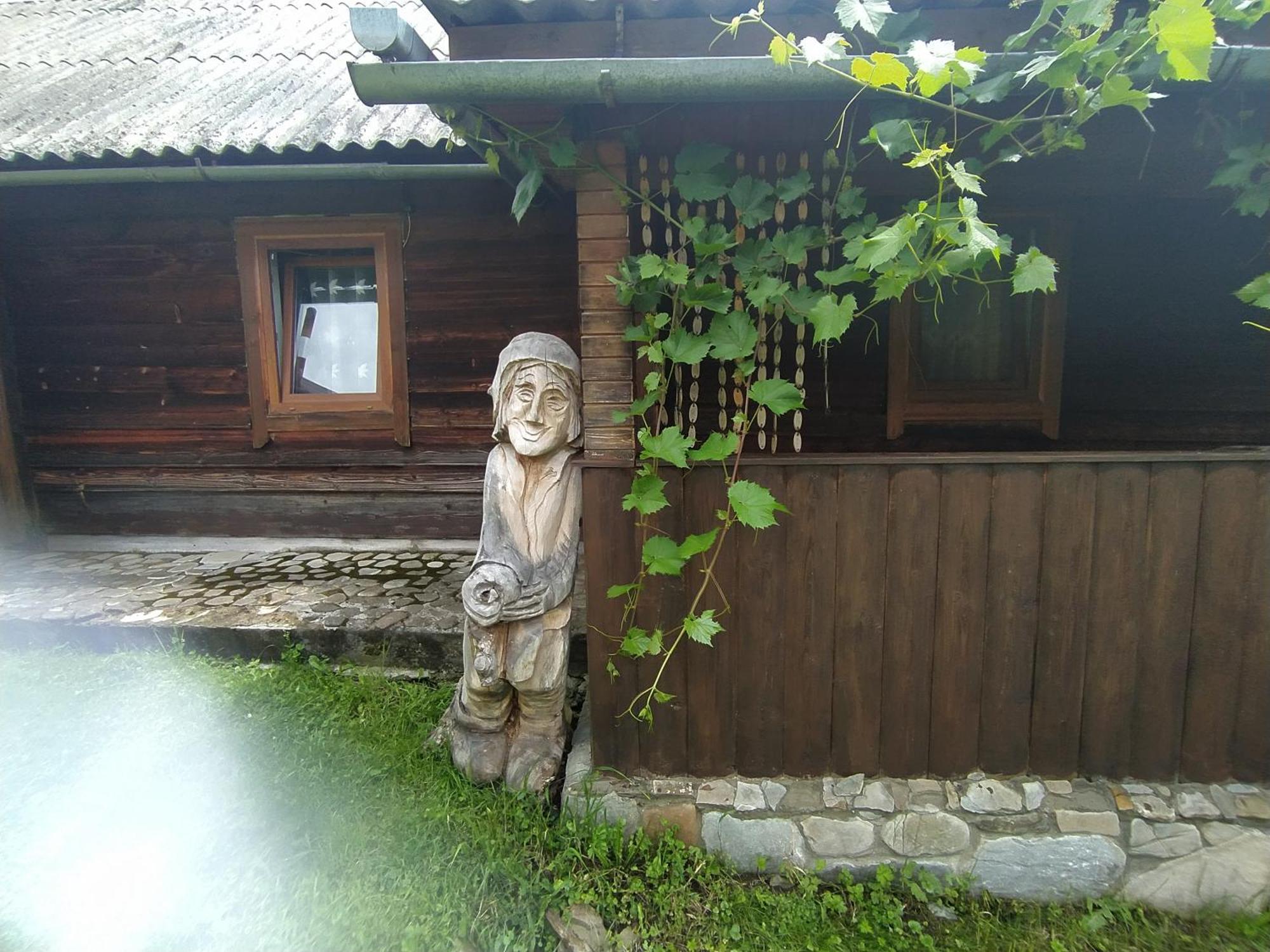 Starovitska Hata - Ethno-Cottage 韦尔霍维纳 外观 照片