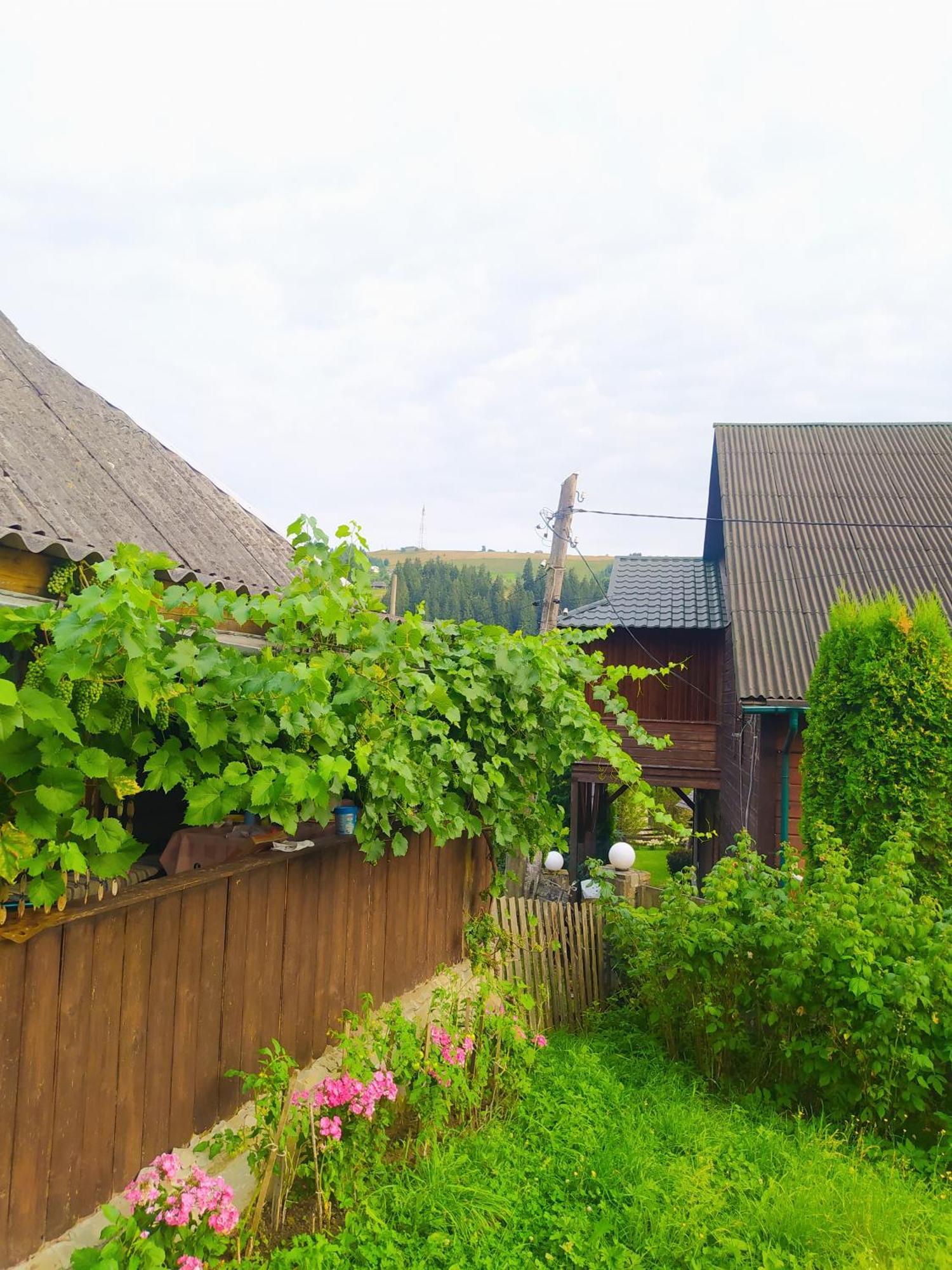 Starovitska Hata - Ethno-Cottage 韦尔霍维纳 外观 照片