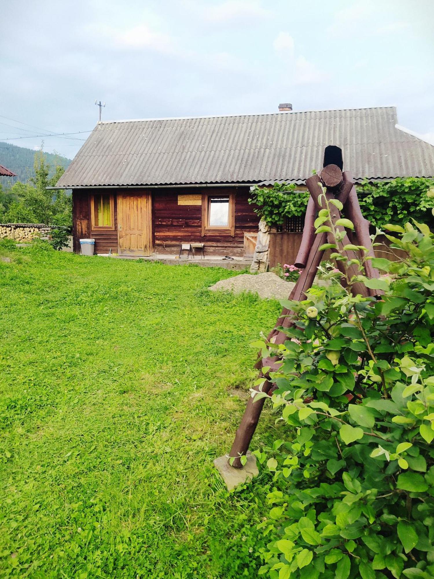 Starovitska Hata - Ethno-Cottage 韦尔霍维纳 外观 照片