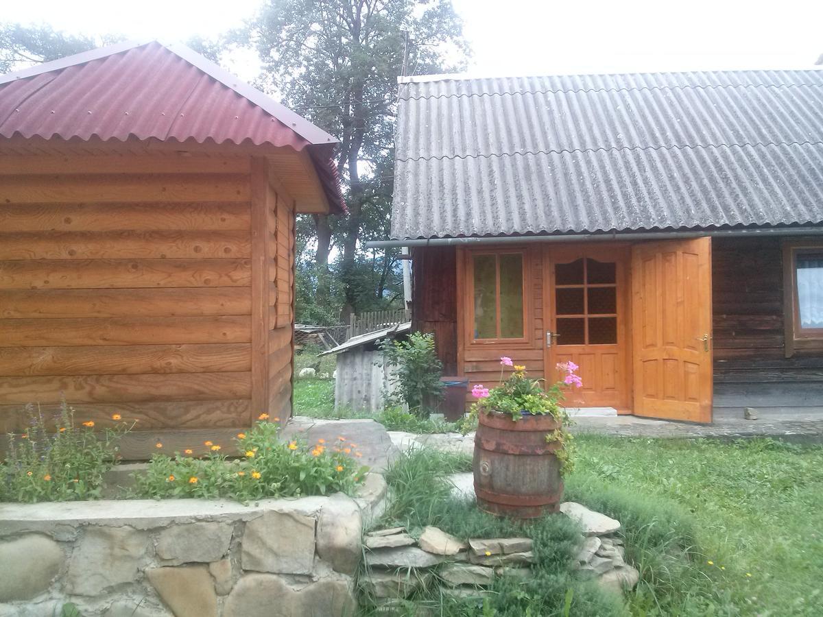 Starovitska Hata - Ethno-Cottage 韦尔霍维纳 外观 照片