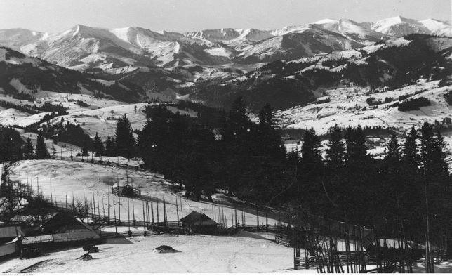 Starovitska Hata - Ethno-Cottage 韦尔霍维纳 外观 照片